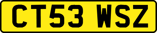 CT53WSZ