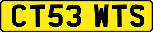 CT53WTS