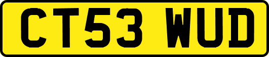 CT53WUD