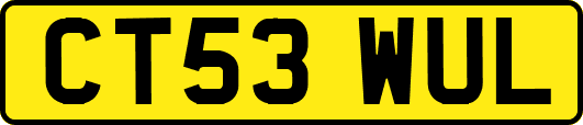 CT53WUL