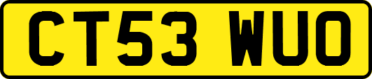 CT53WUO