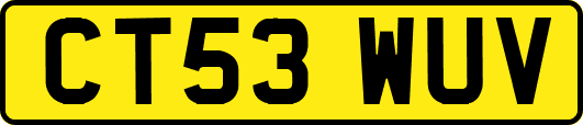 CT53WUV