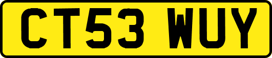 CT53WUY