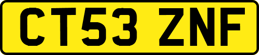 CT53ZNF