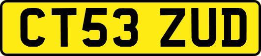 CT53ZUD