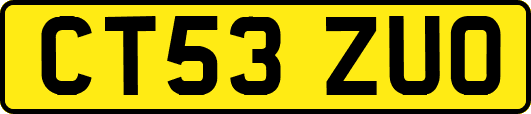 CT53ZUO