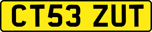 CT53ZUT