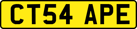 CT54APE