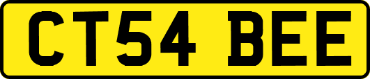 CT54BEE