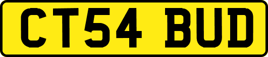 CT54BUD