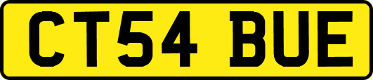 CT54BUE