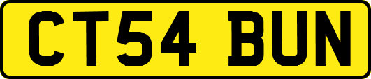 CT54BUN