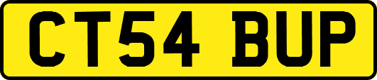 CT54BUP