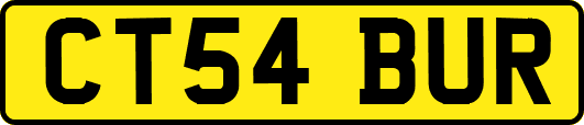 CT54BUR