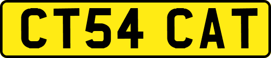 CT54CAT