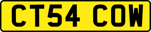 CT54COW