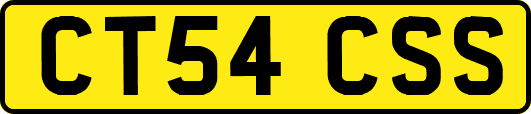 CT54CSS