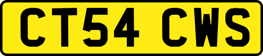 CT54CWS