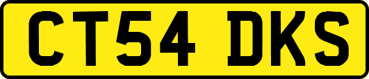 CT54DKS