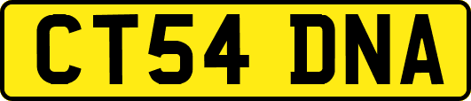 CT54DNA