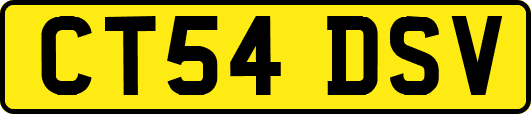 CT54DSV