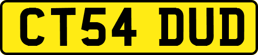 CT54DUD