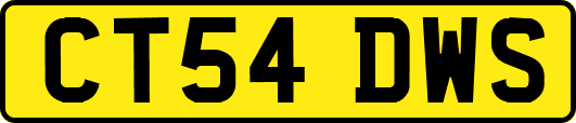 CT54DWS