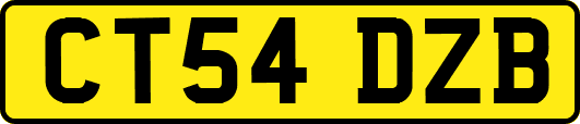 CT54DZB