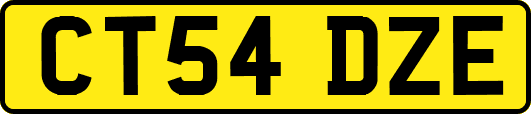 CT54DZE