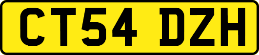 CT54DZH
