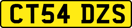 CT54DZS