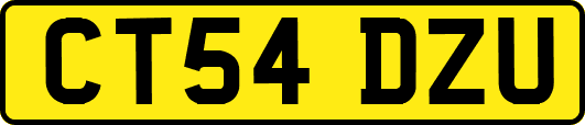 CT54DZU