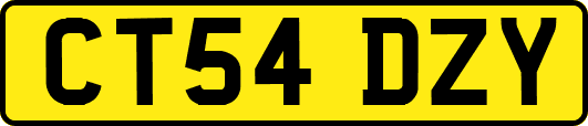 CT54DZY