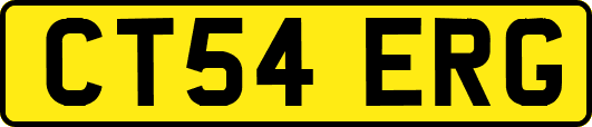 CT54ERG