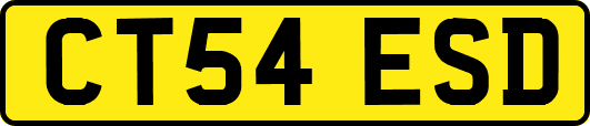 CT54ESD
