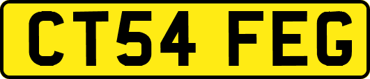 CT54FEG