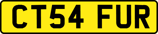 CT54FUR