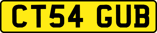 CT54GUB