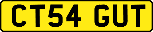 CT54GUT
