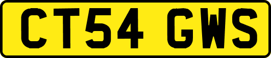 CT54GWS