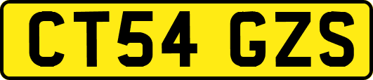 CT54GZS