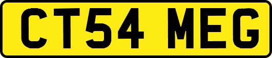 CT54MEG