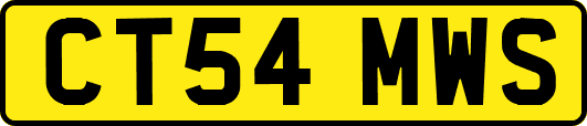 CT54MWS