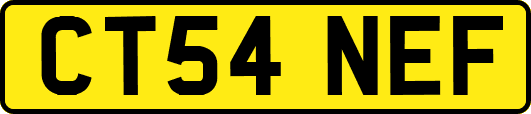 CT54NEF