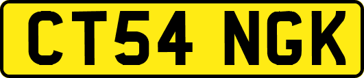 CT54NGK