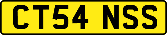 CT54NSS