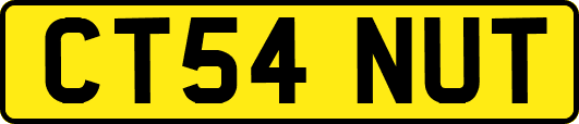 CT54NUT