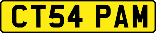 CT54PAM