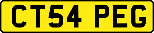 CT54PEG