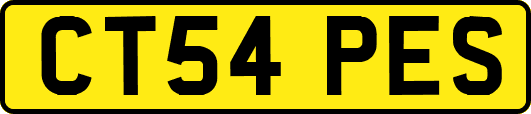 CT54PES